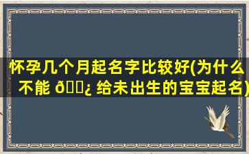 怀孕几个月起名字比较好(为什么不能 🌿 给未出生的宝宝起名)